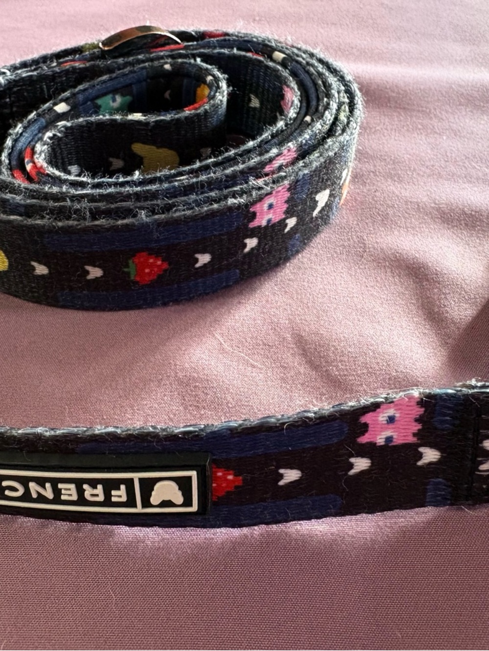 Frenchie Retro Pixel Pattern Dog Leash - Multicolor - Picture 2 of 2
